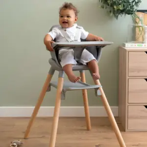 Clair de Lune 6 in 1 High Chair